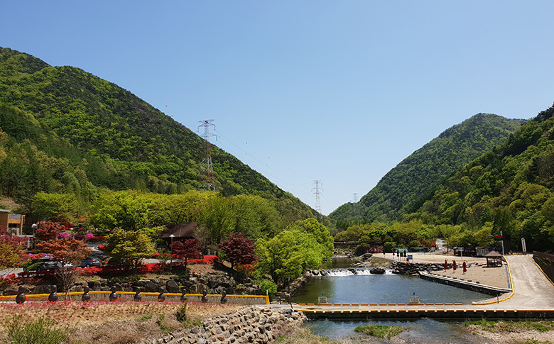 ��ɻ� �޾縲